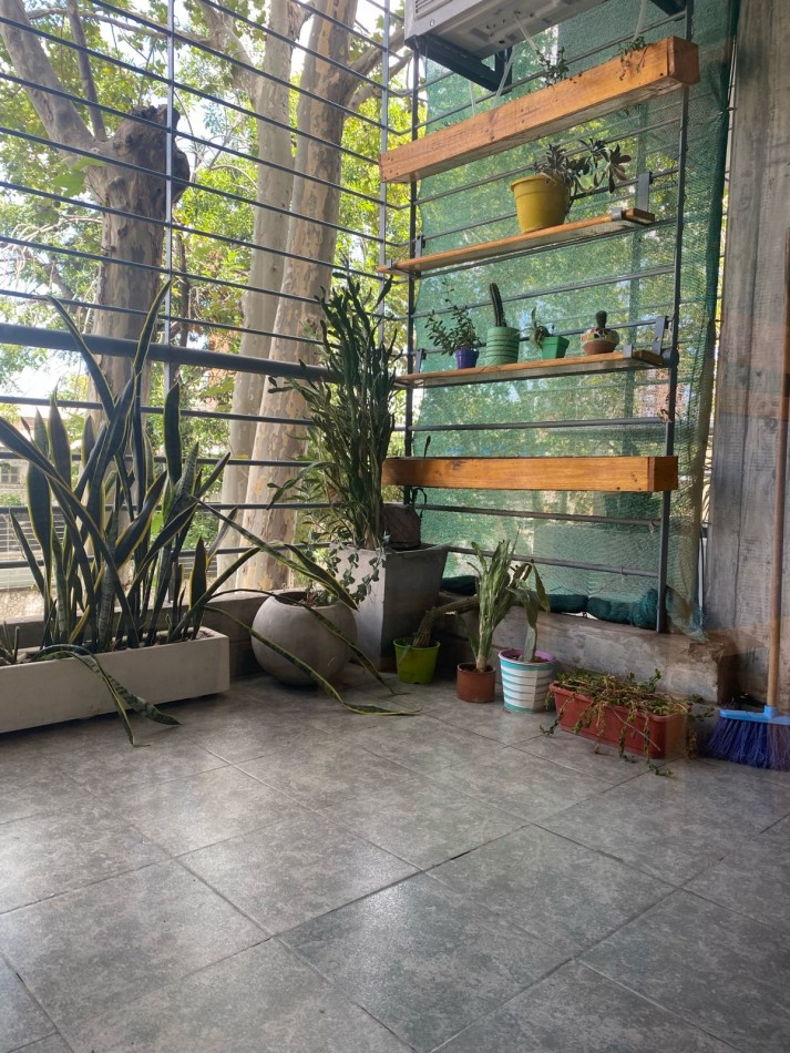 SANTIAGO PARQUE 